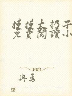 摸摸大扔子小说免费阅读小说