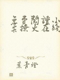 免费阅读小说温柔撩火在线阅读全文