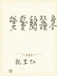 总裁的替身前妻免费阅读全文正版封面