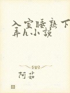 入室睡熟下药玩弄h小说封面