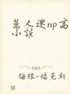 万人迷np高h小说