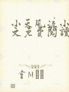 小天风流小说全文免费阅读无弹窗