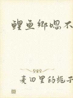 鲤鱼乡嗯不