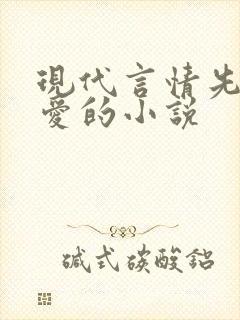 现代言情先婚后爱的小说