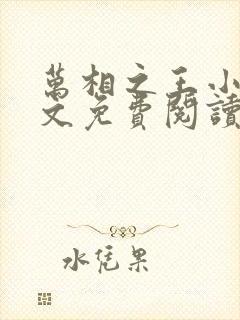 万相之王小说全文免费阅读无弹窗