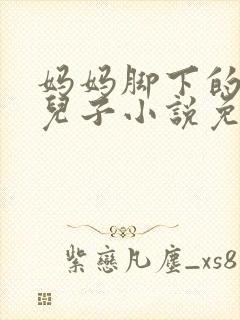 妈妈脚下的贱狗儿子小说免费阅读