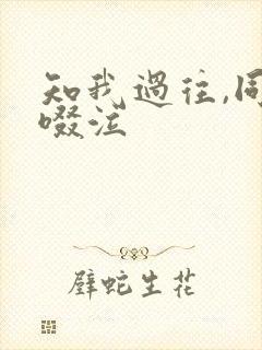 知我过往,同我啜泣