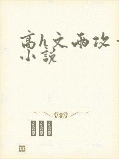 高h文两攻一受小说封面