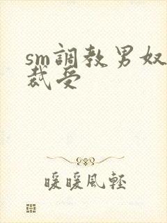 sm调教男奴总裁受封面