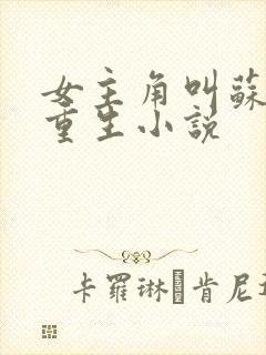 女主角叫苏禾的重生小说封面