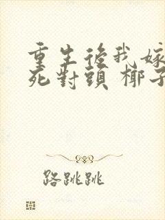 重生后我嫁给了死对头 椰子絮