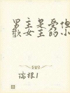 男主是受但是喜欢女主的小说