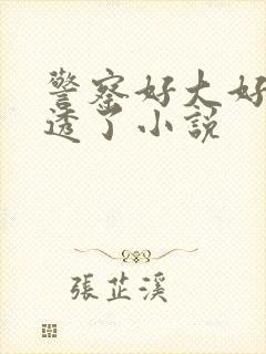 警察好大好爽湿透了小说