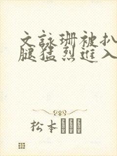 文咏珊被扒开双腿猛烈进入小说