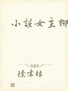 小说女主柳如烟