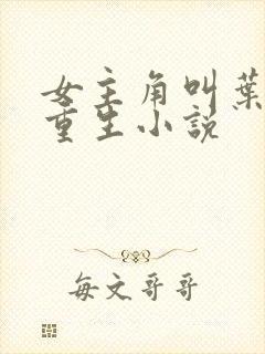 女主角叫叶薇的重生小说