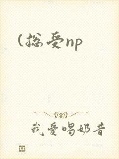 (总受np