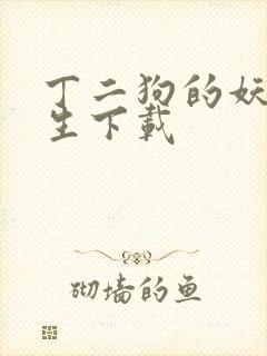 丁二狗的妖孽人生下载封面