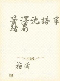 萧泽沈榕宁番外结局