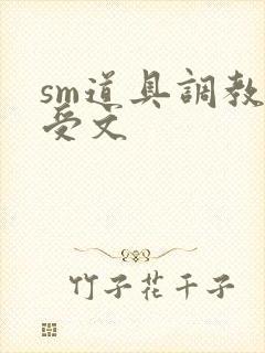 sm道具调教小受文封面