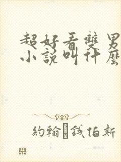 超好看双男主的小说叫什么