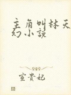 主角叫林天的玄幻小说