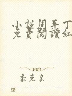 小说周平丁茹妍免费阅读红颜政道