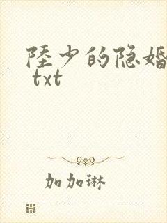 陆少的隐婚罪妻 txt