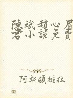 陈斌赵心眉高婉君小说免费阅读封面