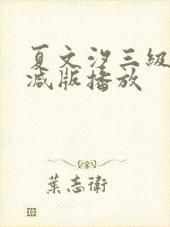 夏文汐三级无删减版播放