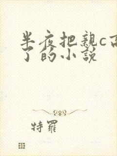 半夜把亲c高潮了的小说