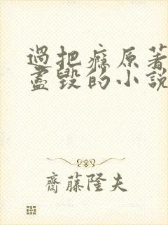 过把瘾原著三观尽毁的小说