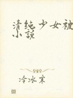 清纯少女被日常小说