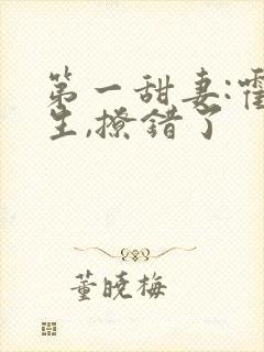 第一甜妻:霍先生,撩错了