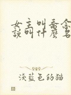 女主叫乔念的小说叫什么名字