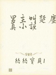 男主叫楚尘的修真小说