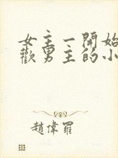 女主一开始不喜欢男主的小说封面