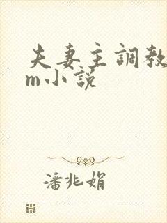 夫妻主调教 sm小说