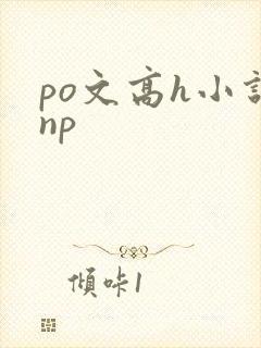 po文高h小说np