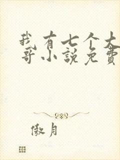 我有七个大佬哥哥小说免费阅读无弹窗