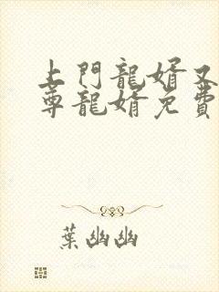 上门龙婿又名至尊龙婿免费全文阅读