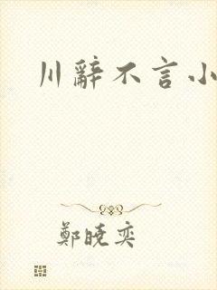 川辞不言小说封面