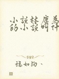 小说林尘为主角的小说叫什么名字