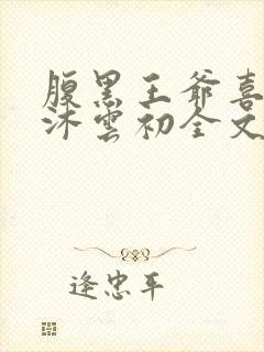 腹黑王爷喜当爹沐云初全文免费阅读