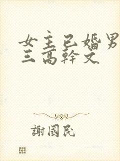 女主已婚男主小三高干文