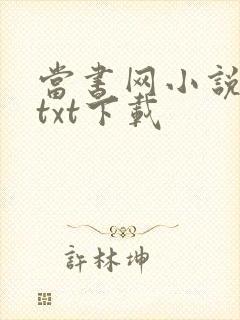 当书网小说免费txt下载