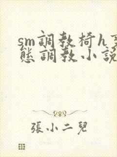 sm调教椅h变态调教小说封面