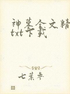 神墓全文精校版txt下载封面