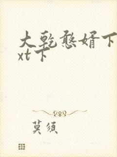 大乾憨婿下载txt下