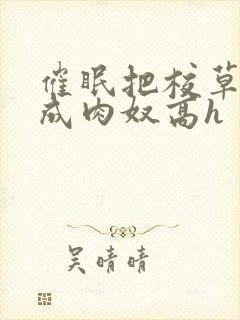 催眠把校草调教成肉奴高h